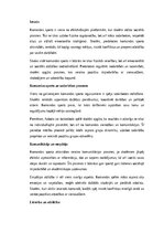 Эссе 'Komandas sports un sociālās prasmes skolēniem', 1.