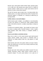 Эссе 'Komandas sports un sociālās prasmes skolēniem', 2.