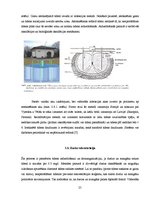Реферат 'Piesārņojuma avotu identifikācija ūdens attīrīšanas iekārtu tehnoloģiskajā proce', 25.