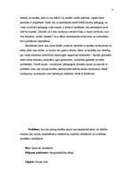 Реферат 'Pusaudžu skolas neapmeklēšanas cēloņi', 4.