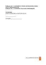 Образец документа 'Darba aizsardzības instrukcija darbam ar datoru', 8.