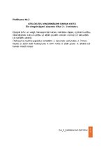 Образец документа 'Darba aizsardzības instrukcija darbam ar datoru', 10.