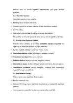 Конспект 'Stress: psiholoģiskie, fizioloģiskie un sociālie aspekti un to pārvaldība', 13.