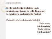 Реферат 'Sirds patoloģiju izplatība un to nozīmīgums jauniešu vidū Kurzemē, to veicinošie', 25.