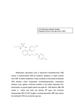 Реферат 'Endotēlija receptora antagonists Opsumit', 2.