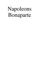 Реферат 'Napoleons', 4.