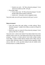 Реферат 'SIA “Pļaviņu komunālie pakalpojumi” finanšu analīze', 3.
