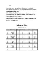 Бизнес план 'Biznesa plāns', 6.