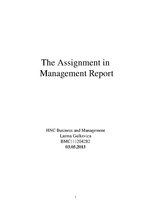 Реферат 'Management Report', 1.