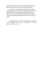 Эссе 'Argumentēta eseja par filmu ''Ceplis"', 3.