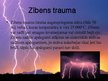 Презентация 'Zibens trauma', 2.