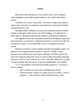 Реферат 'Digitālā grāmatvedība', 3.