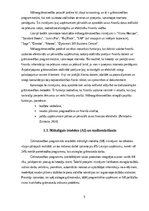 Реферат 'Digitālā grāmatvedība', 5.