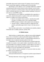 Реферат 'Digitālā grāmatvedība', 10.