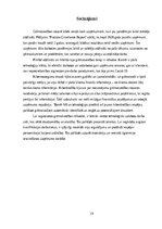 Реферат 'Digitālā grāmatvedība', 15.