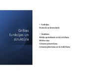 Презентация 'Griba', 4.