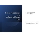 Презентация 'Griba', 6.