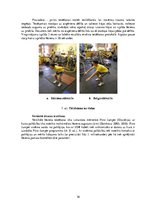 Дипломная 'Kāju muskulatūras ātrspēka attīstīšana ar svarbumbu sporta līdzekļiem', 36.