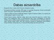 Презентация 'Daugava', 9.