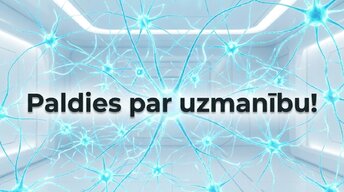 Презентация 'Kā stress un akadēmiskā spriedze ietekmē studentu smadzeņu plastiskumu', 16.