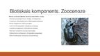 Презентация 'Dabas lieguma "Milzukalns" ekosistēma', 6.