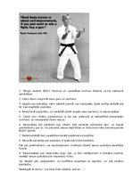 Реферат 'Karate vēsture', 14.