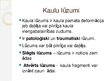 Презентация 'Kaulu lūzumi', 2.