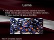 Презентация 'Latvijas simboli', 11.