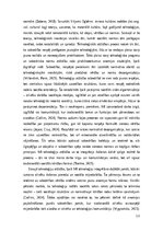 Дипломная 'Sarunbotu izmantošana augstākajā izglītībā: digitālās anomijas izpausmes Latvija', 13.