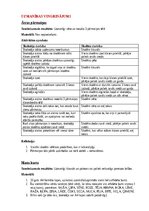 Конспект 'Ideju portfolio kustību mākslā', 2.