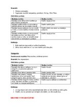 Конспект 'Ideju portfolio kustību mākslā', 5.