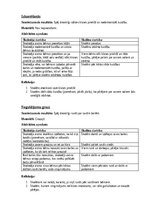 Конспект 'Ideju portfolio kustību mākslā', 6.