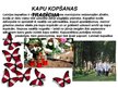 Презентация 'Latvijas tradīcijas', 12.