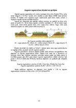 Реферат 'Meža stādīšanas darbu analīze un ekonomiskais pamatojums', 14.