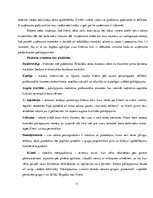 Реферат 'Trīs Latvijas uzņēmumu sociālo pārskatu analīze', 11.