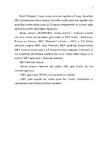 Отчёт по практике 'Pāternieku muitas kontroles punkts - prakses atskaite', 7.