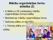 Презентация 'Mācību darba organizācijas formas', 9.