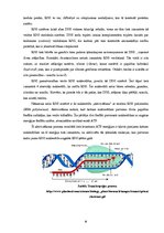 Реферат 'Proteīnu sintēzes, šūnas funkciju un šūnas vairošanās ģenētiskā kontrole', 6.