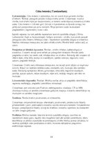 Конспект 'Medicīniskā parazitoloģija - patstāvīgais darbs mikrobioloģijā', 15.