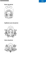 Образец документа 'Vadlīnijas dokumentu izstrādāšanai un noformēšanai', 103.