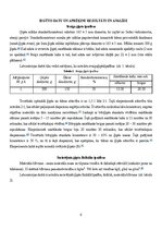 Реферат 'Būvģipsis', 6.