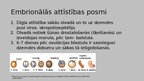 Презентация 'Cilvēka embrionālā attīstība pēc apaugļošanas', 4.