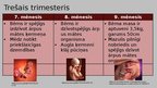 Презентация 'Cilvēka embrionālā attīstība pēc apaugļošanas', 7.