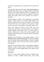 Эссе 'Ūdens resursu saglabāšana un ilgtspējīga apsaimniekošana', 3.