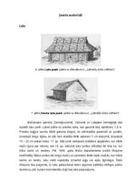 Реферат 'Latviešu zemnieku celtņu jumtu formas un materiāli no 18.gadsimta sākuma līdz 20', 6.