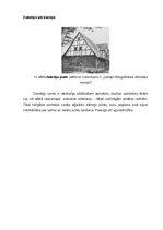 Реферат 'Latviešu zemnieku celtņu jumtu formas un materiāli no 18.gadsimta sākuma līdz 20', 10.
