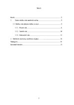 Реферат 'Skolēnu mācību sasniegumus veicinoša mācību vide', 2.