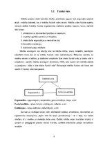 Реферат 'Skolēnu mācību sasniegumus veicinoša mācību vide', 6.