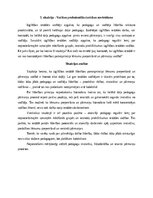 Эссе 'Vadības profesionālās darbības novērtēšana', 1.