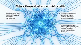 Презентация 'Kādēļ studenti aizmirst pēc eksāmeniem?', 9.